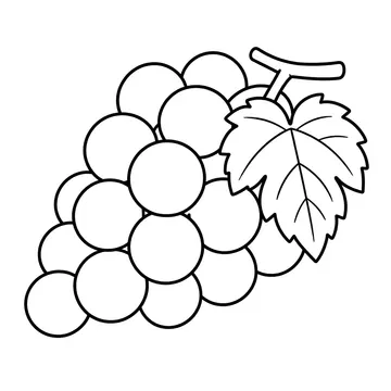 ぶどうのぬりえ