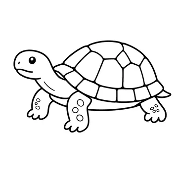 カメのぬりえ