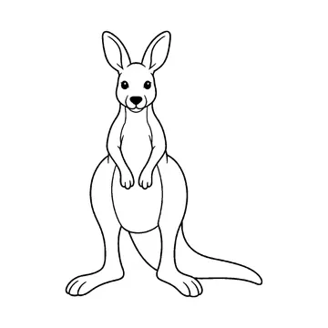 正面を向いて立つカンガルーのぬりえ