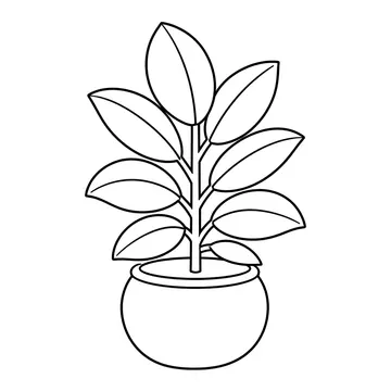 ゴムの木鉢のぬりえ