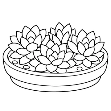 多肉寄せ植えのぬりえ