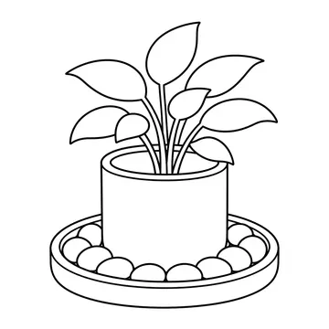受け皿の観葉植物のぬりえ