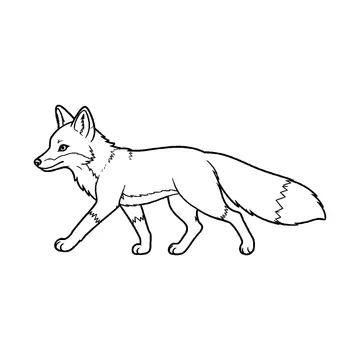 横向きで歩くきつねのぬりえ