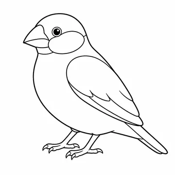 文鳥のぬりえ