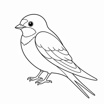 ツバメのぬりえ