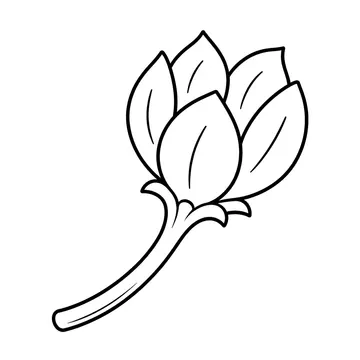 乾いた種さやのぬりえ