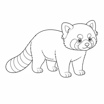 斜め向きで立つレッサーパンダのぬりえ