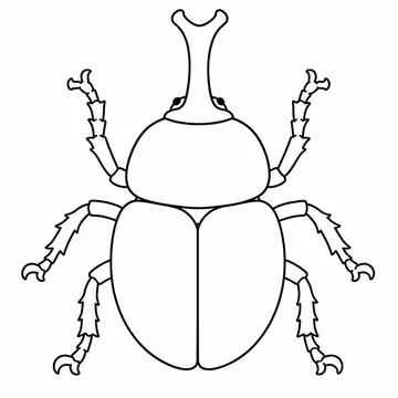 カブトムシのぬりえ