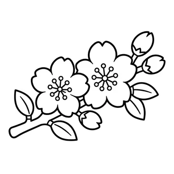 桜の小枝のぬりえ