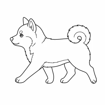 横向きで歩く柴犬のぬりえ