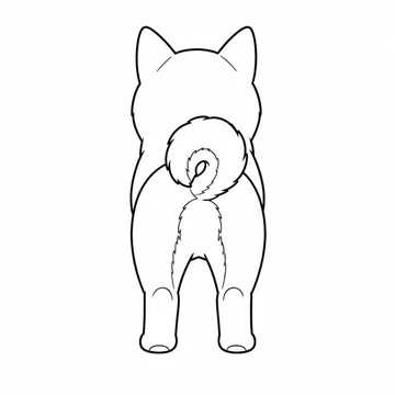巻き尾が見える柴犬の後ろ姿のぬりえ