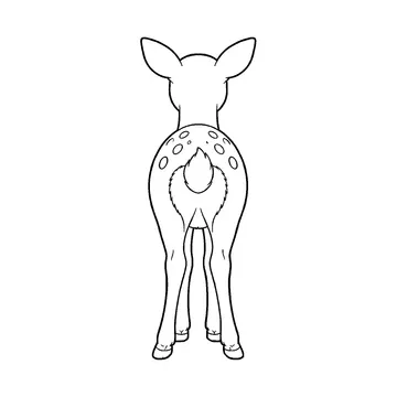 白い尾が見えるシカの後ろ姿のぬりえ