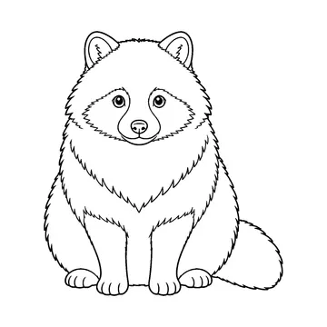 正面を向いて座るたぬきのぬりえ