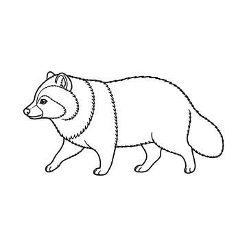 横向きで歩くたぬきのぬりえ