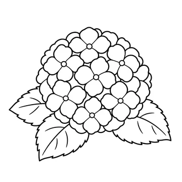 藤色のあじさいのぬりえ
