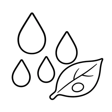 雨粒のぬりえ