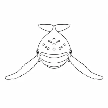 正面からこちらへ泳ぐザトウクジラのぬりえ