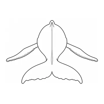 尾びれが見えるザトウクジラの後ろ姿のぬりえ