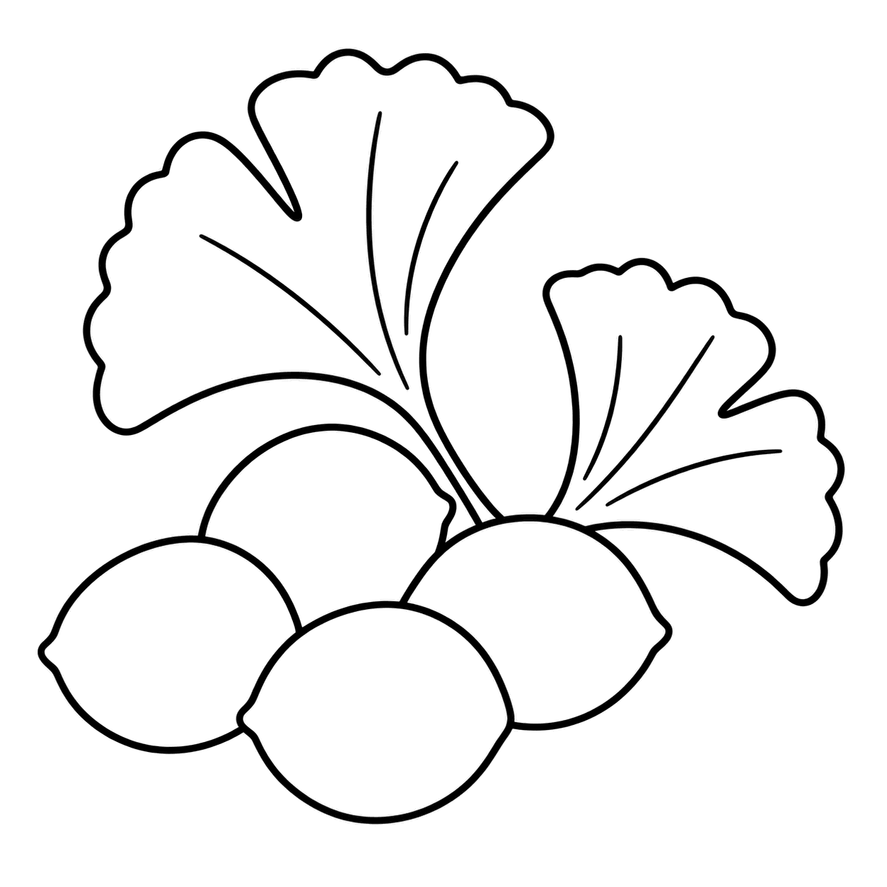 銀杏のぬりえ用線画