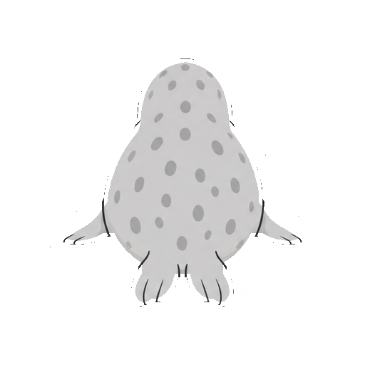 丸い背中が見えるアザラシの後ろ姿の全身イラスト