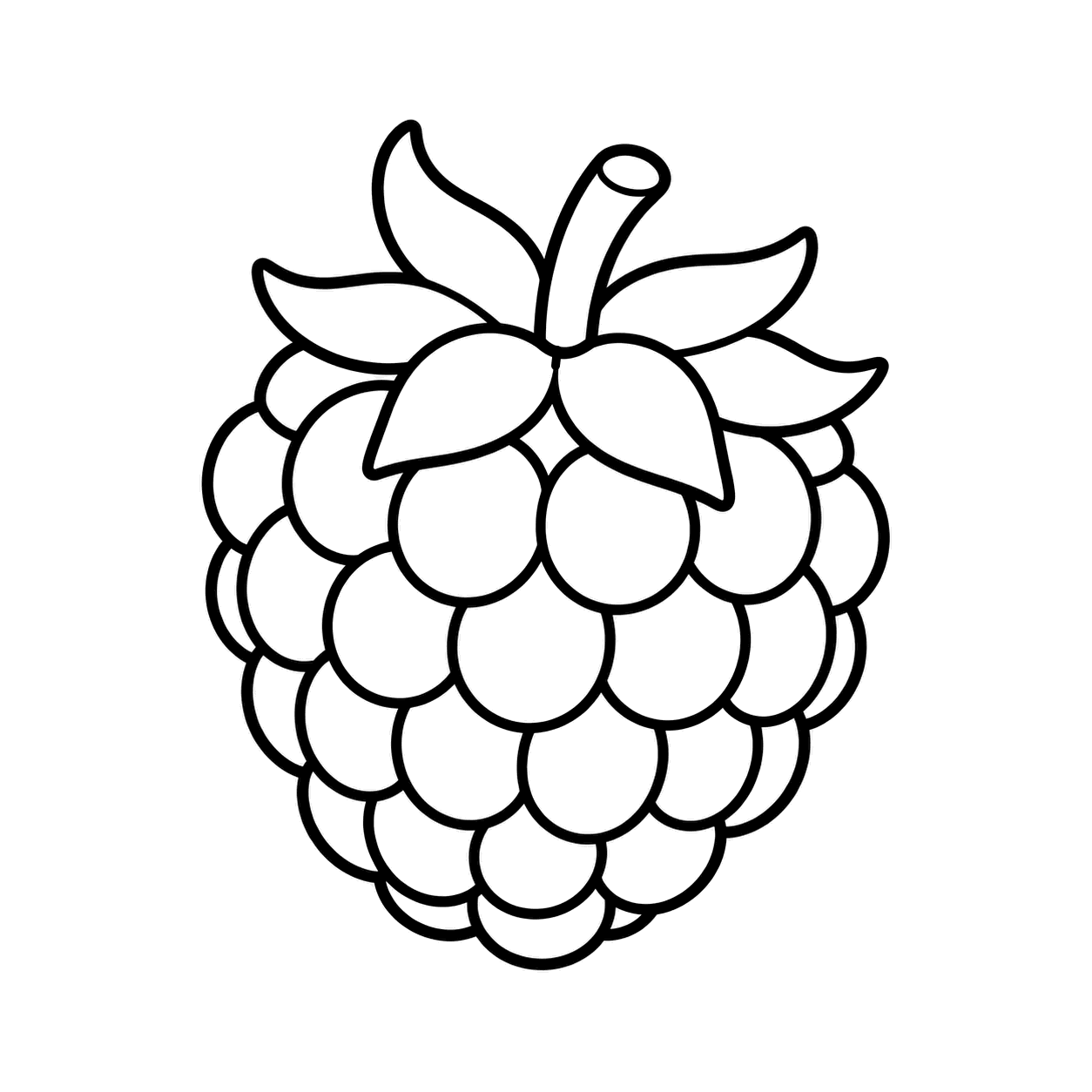 ラズベリーのぬりえ用線画