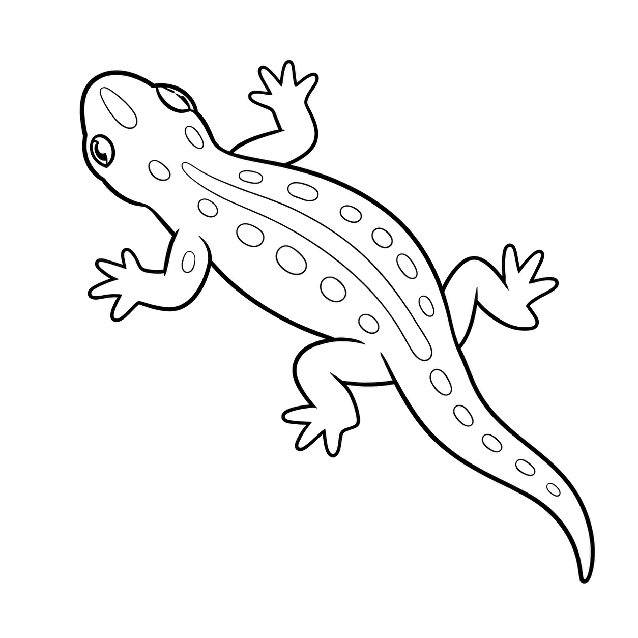サンショウウオのぬりえ用線画