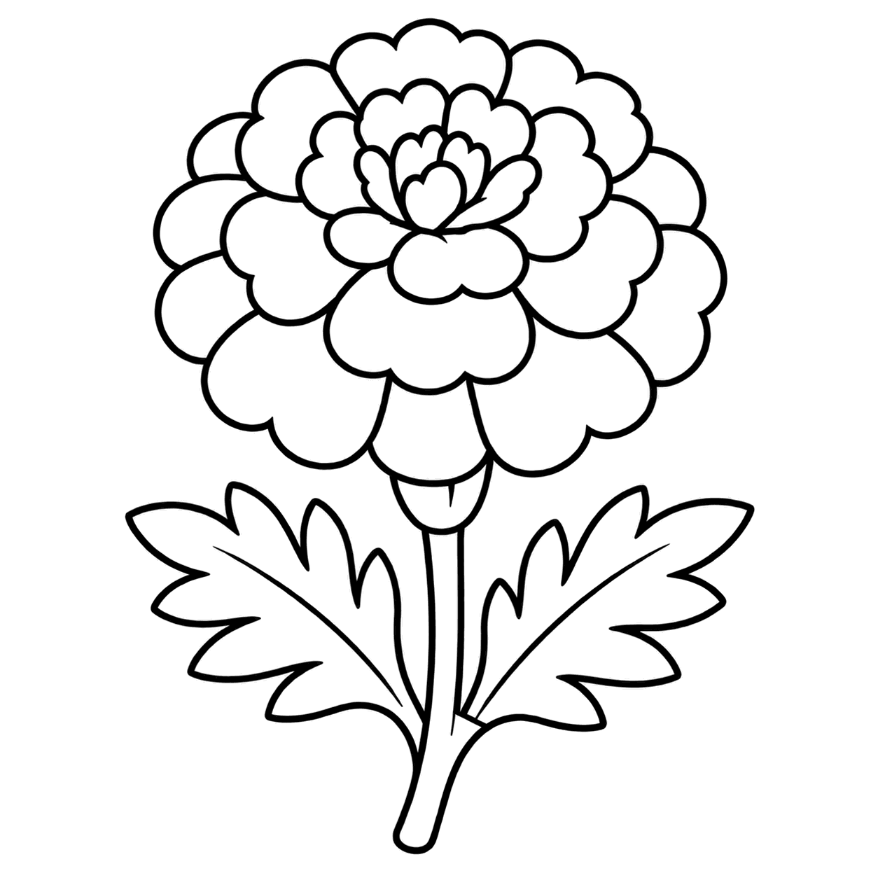 黄色いマリーゴールドのぬりえ用線画