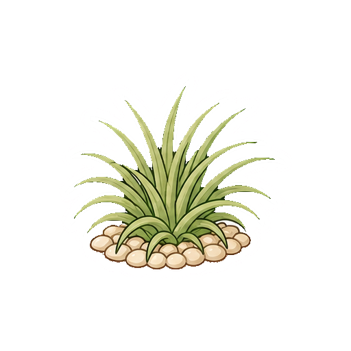 文字や顔がないエアプランツのアイコン