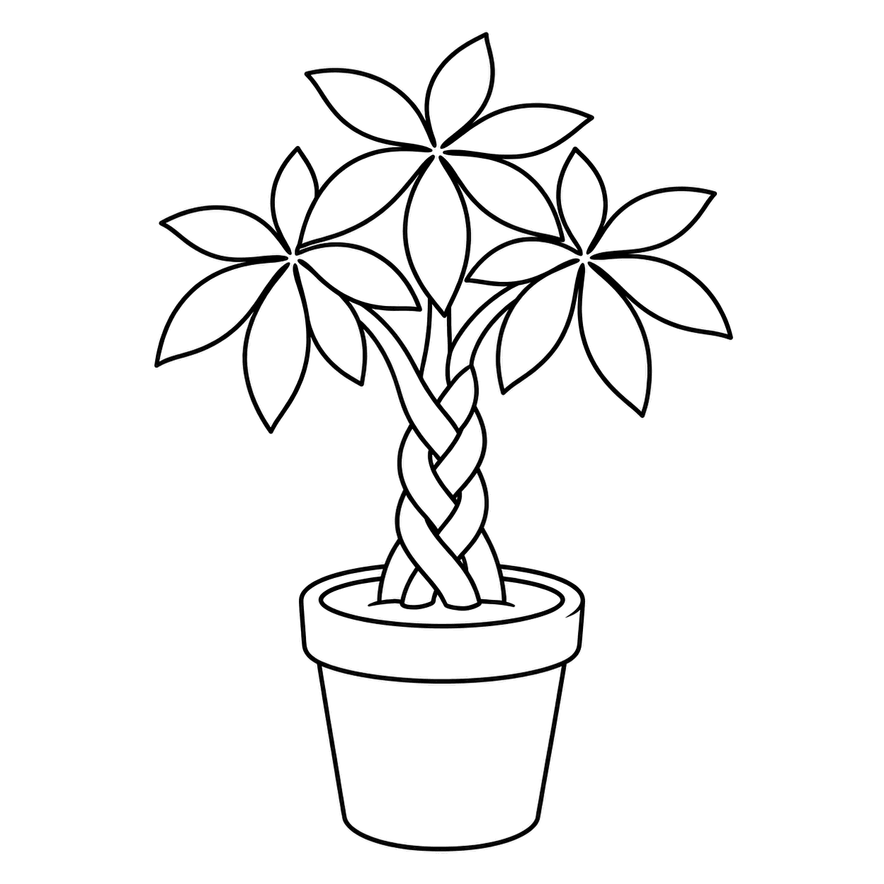 パキラ鉢のぬり絵用線画