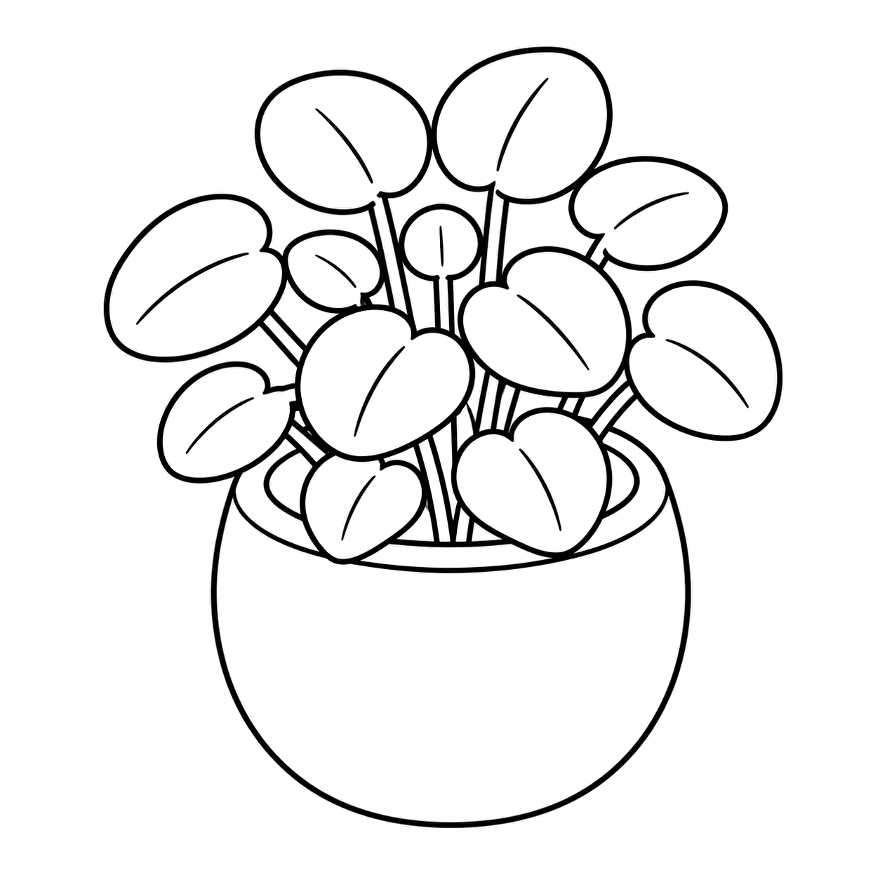 ペペロミア鉢のぬりえ用線画