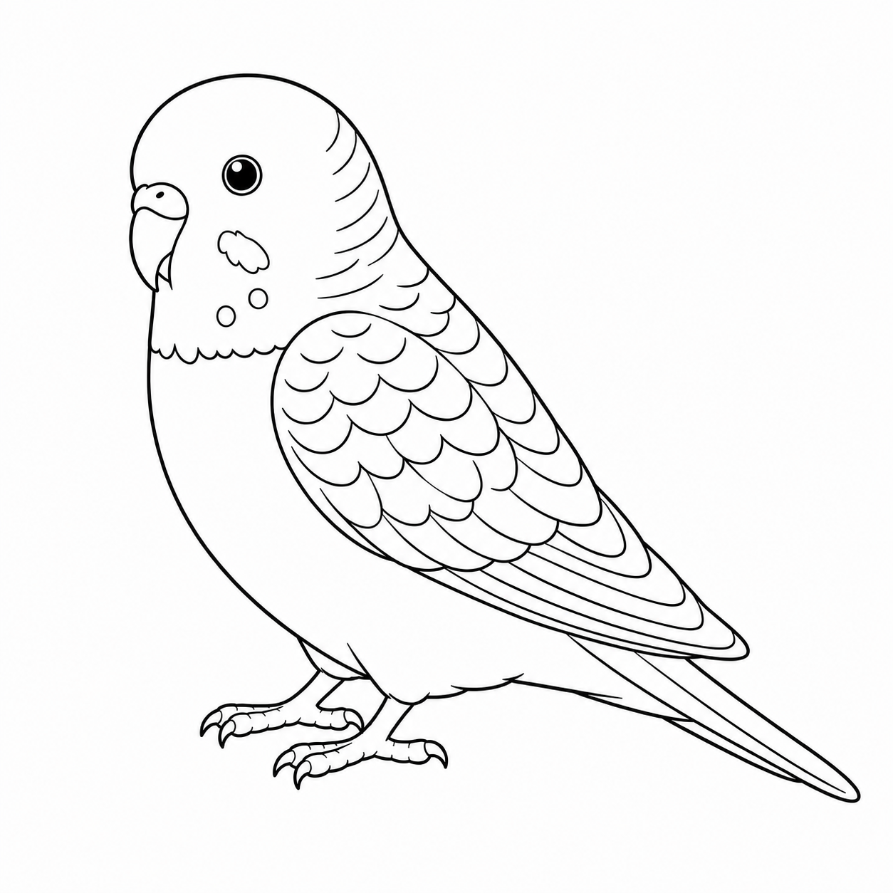 インコのぬりえ用線画（鳥のイラスト・ぬり絵16枚）
