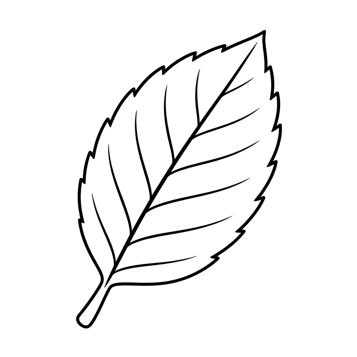 茶色のブナの葉のぬり絵用線画