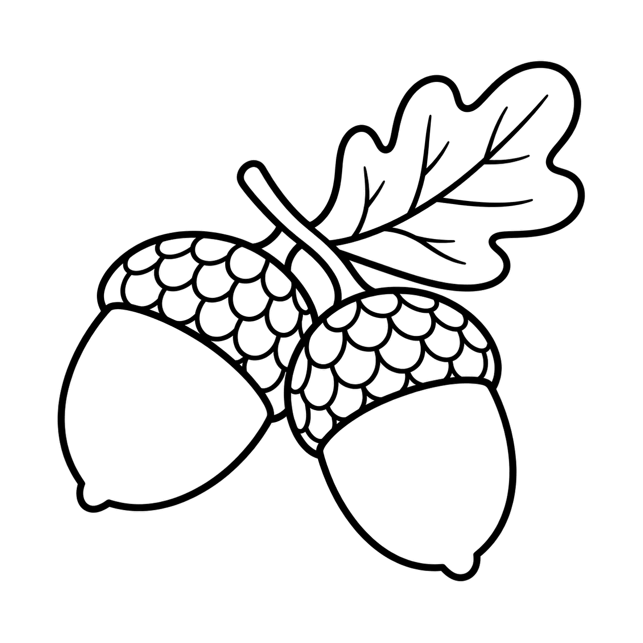 二つのどんぐりのぬり絵用線画