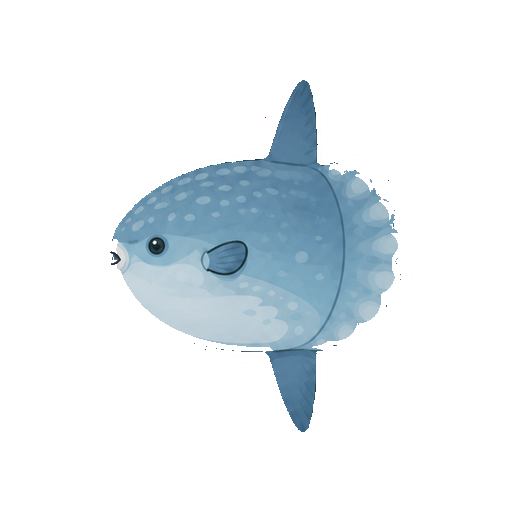 小さな口を丸く開けたマンボウの全身イラスト
