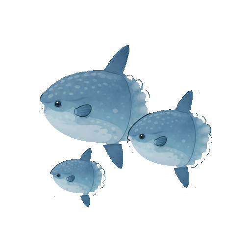 3匹のマンボウが群れて泳ぐ全身イラスト