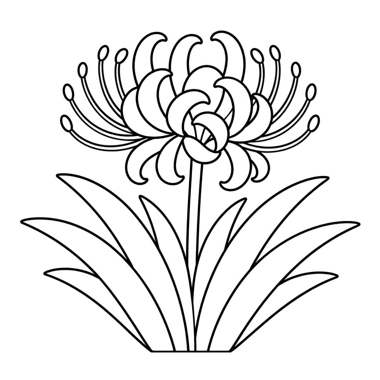 彼岸花と葉のぬりえ用線画