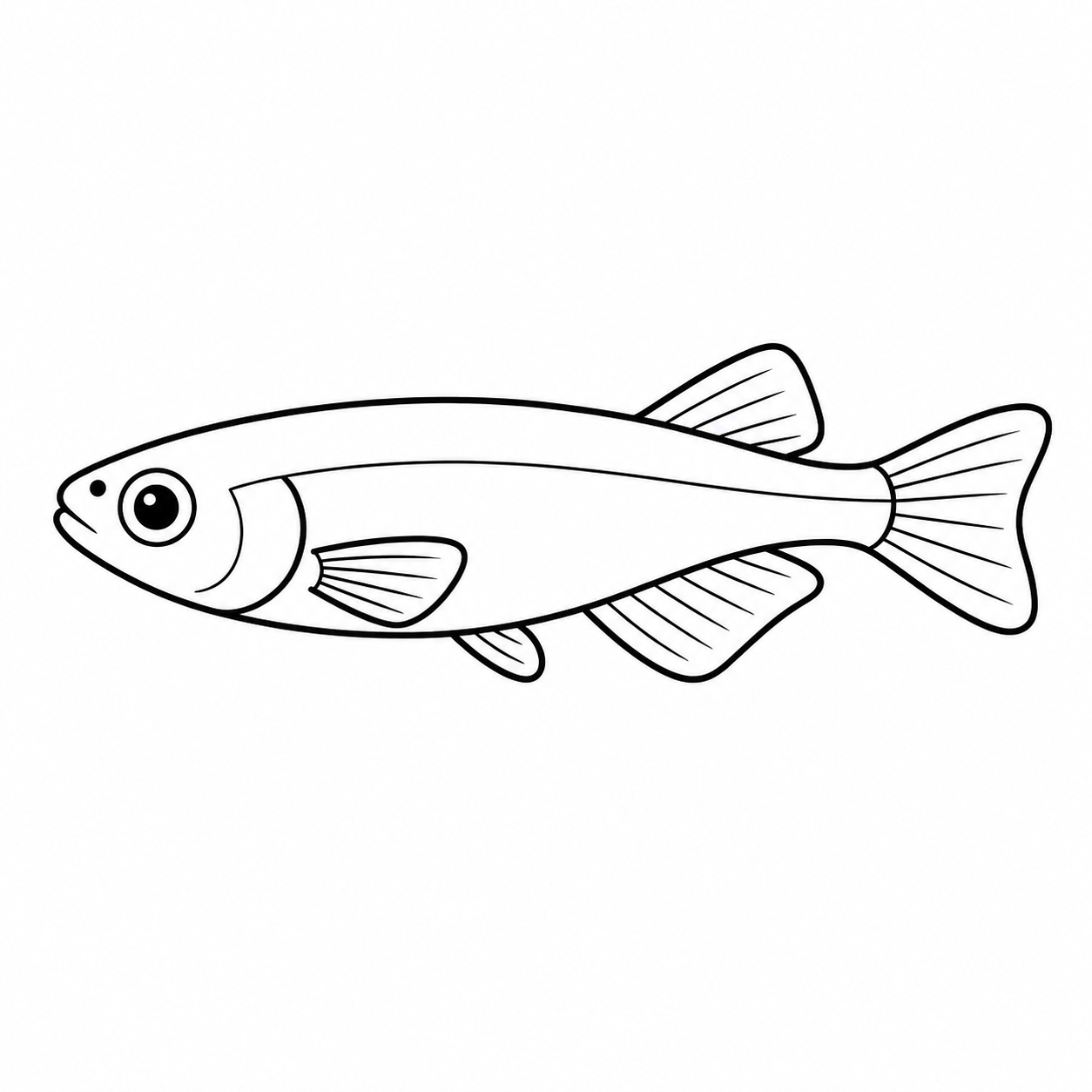 メダカのぬりえ用線画