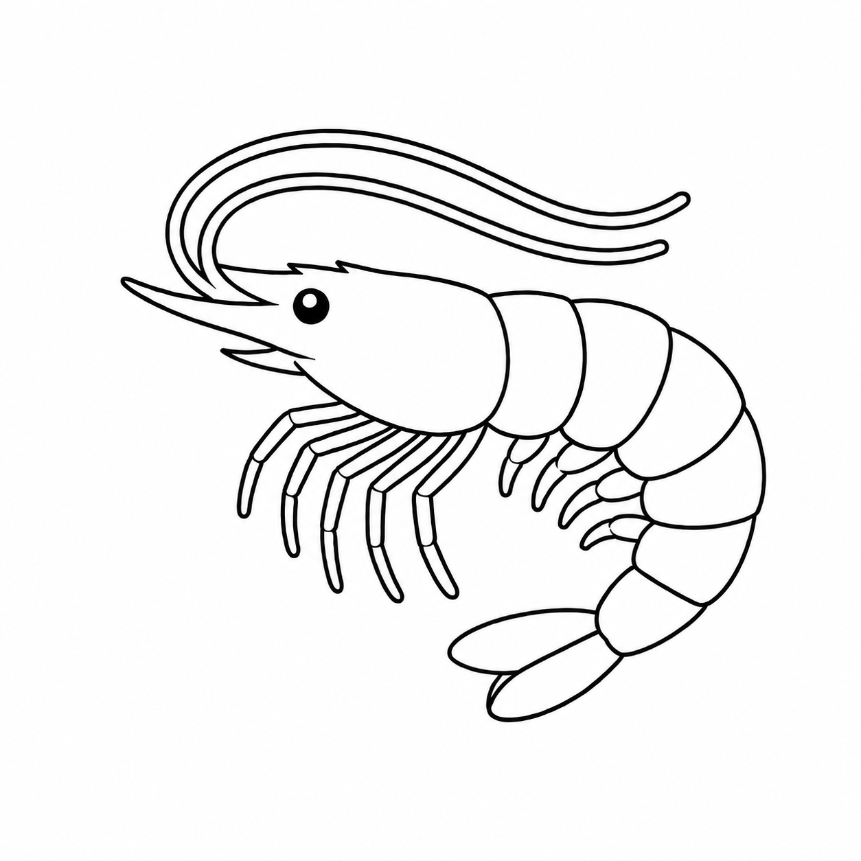 えびのぬり絵用線画