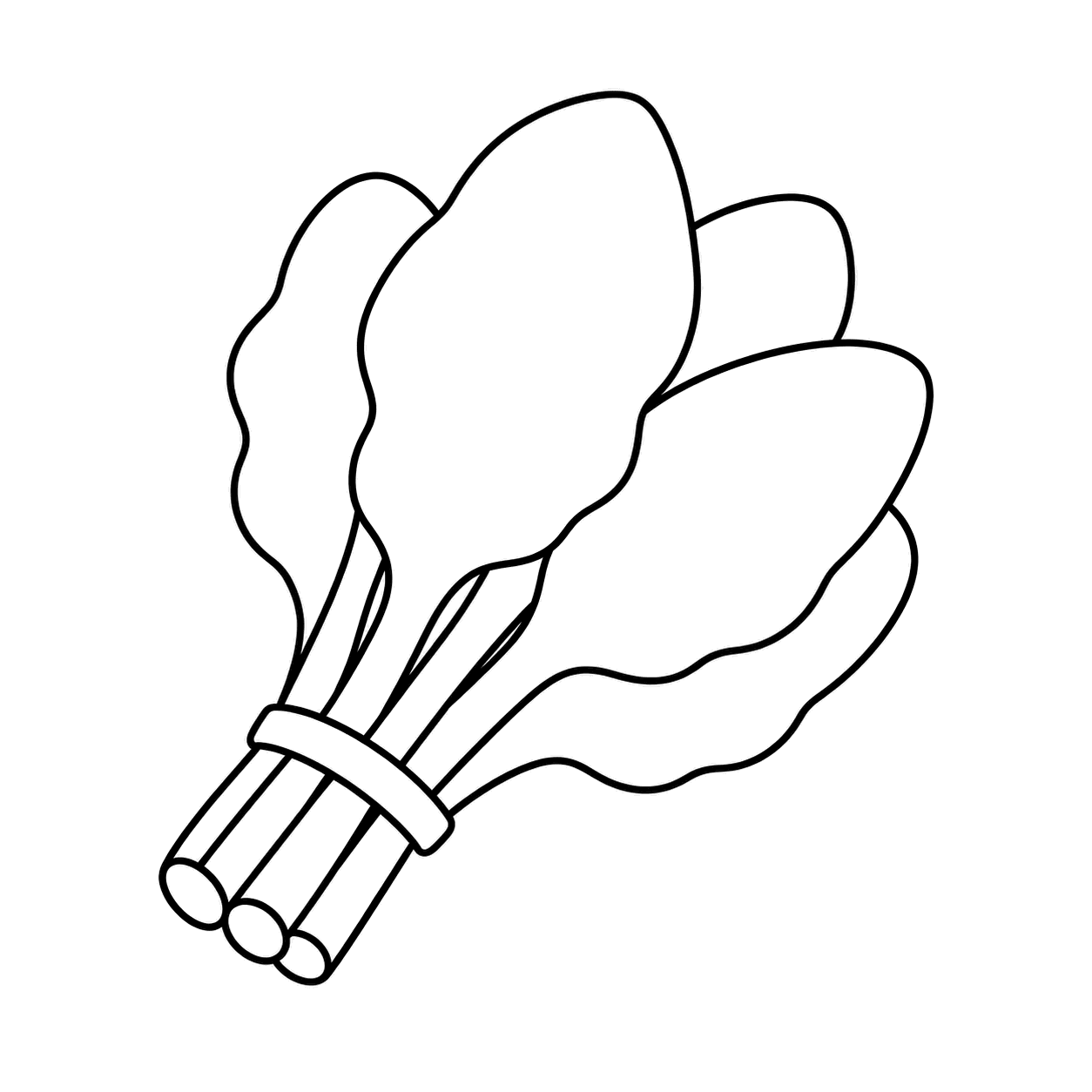 ほうれん草のぬりえ用線画