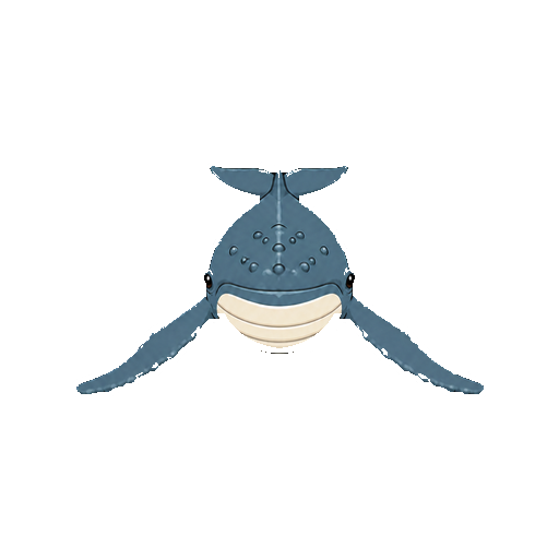 正面からこちらへ泳ぐザトウクジラの全身イラスト