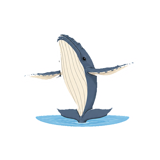 小さな水面から跳び上がるザトウクジラの全身イラスト