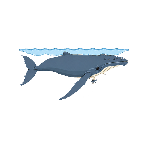 小さな水面の近くをゆっくり泳ぐザトウクジラの全身イラスト