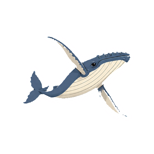体を横へひねりながら泳ぐザトウクジラの全身イラスト