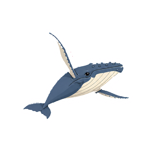 片方の長い胸びれを上げるザトウクジラの全身イラスト