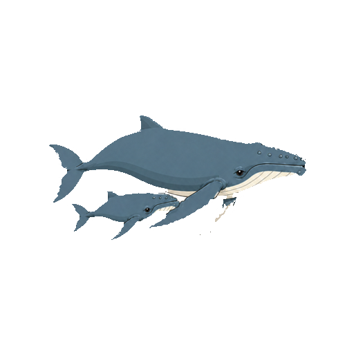 親子で並んで泳ぐザトウクジラの全身イラスト