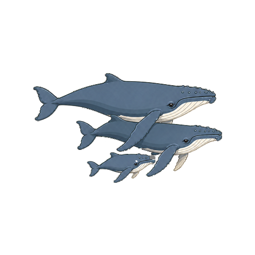 3頭のザトウクジラが群れで泳ぐ全身イラスト